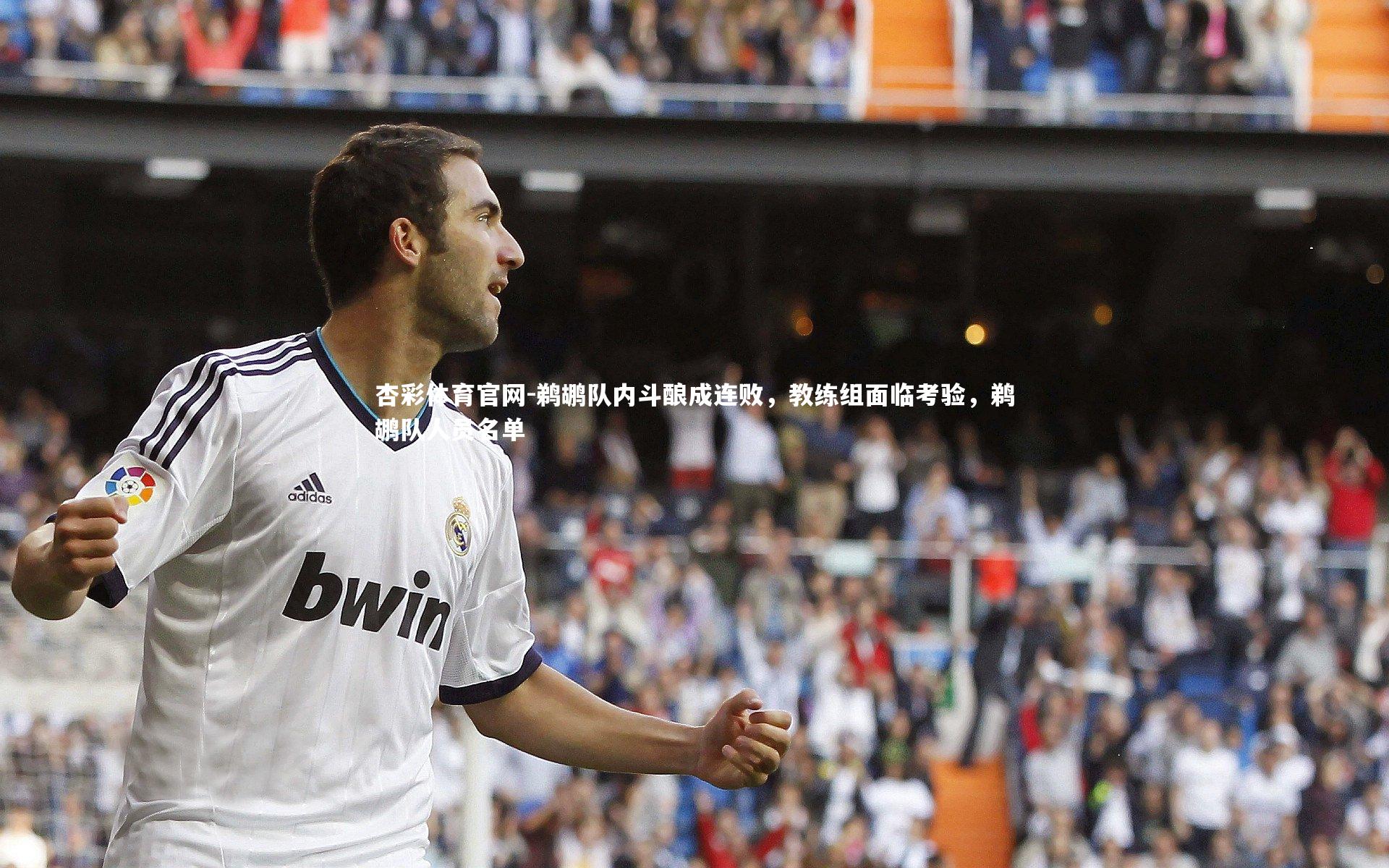 杏彩体育官网-鹈鹕队内斗酿成连败，教练组面临考验，鹈鹕队人员名单
